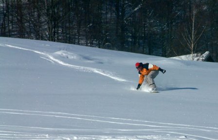 Bjelolasica skijanje