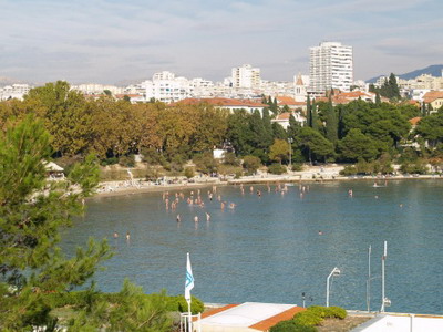 Split Croatia - Split hotels  - Split Croatia hotels - Split Croatia hotel - Hotel Park Split - Hotel Peristil Split - Adriana Hotel Split - Split luxury hotels - Hotel Vestibul Palace Split - Hotel Bellevue Split - Hotel Globo Split - cheap hotels Split - hotels in Split - Split holidays - Split accommodation - Split Croatia accommodation - Split apartments - Split Croatia apartments - Splitmarina - Split camping - Split Boat and Yacht Rentals - Split Boat Show travel agency Lotos 