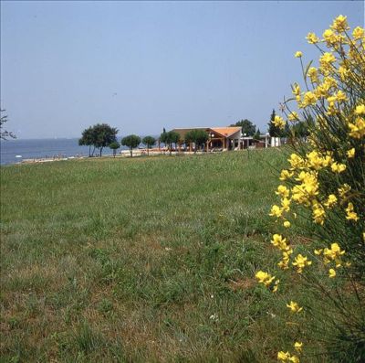 Umag Croatia - Hotels Umag - Hotel Umag - Garden Umag - Sol Umag hotel - Sol garden IstriaUmag - Hotel Umag Croatia - Hotel Istria Umag - Kristal Umag - Umag apartments- Umag 2009 - Umag 2010 - Polinesia Umag - Camping Umag - Umag Istria - Umag Holidays resort - Umag Boutique hotels - Umag Accommodation in the Lighthouse Savudrija Umag travel agency Lotos Umag Riviera 