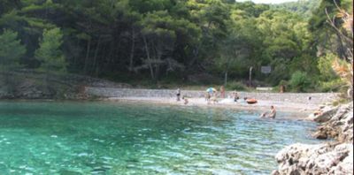  Božava - Dugi otok Božava - Zadar Božava - hoteli Božava - Božava apartmani - hotel Bozava  - hotel Lavanda Božava - Hotel Agava Božava - Hotel Maxim Božava - Božava smještaj Božava agencija Lotos Božava Zadar Rivijera 