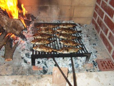 Ugljan apartmani Ugljan hoteli Ugljan pansioni Ugljan sobe Ugljan smještaj Ugljan turistička agencija Lotos zadarska rivijera 