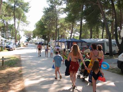 Holiday  Village Zaton Croatia  -Zaton Holiday Village Croatia - Holiday Village Zaton apartments - Holiday Village Zaton accommodation - Holiday Village Zaton Camping travel agency Lotos Zadar Riviera 