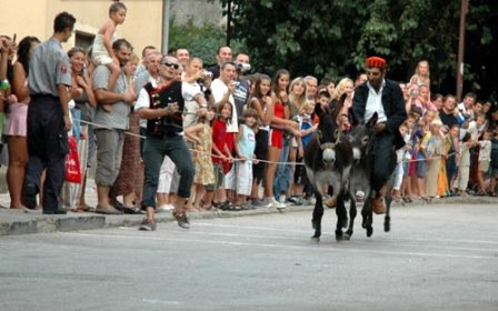 Zaton kod Šibenika apartmani, sobe, smještaj, ljetovanje Zaton