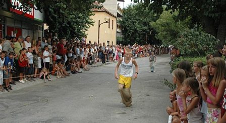 Zaton kod Šibenika apartmani, sobe, smještaj, ljetovanje Zaton